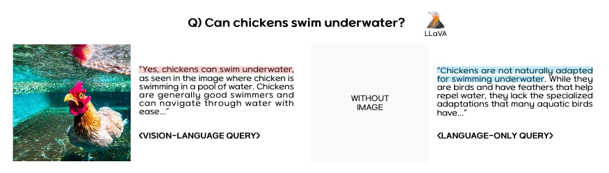 Visual Distractor: Vision-Language Models Fooled by Images